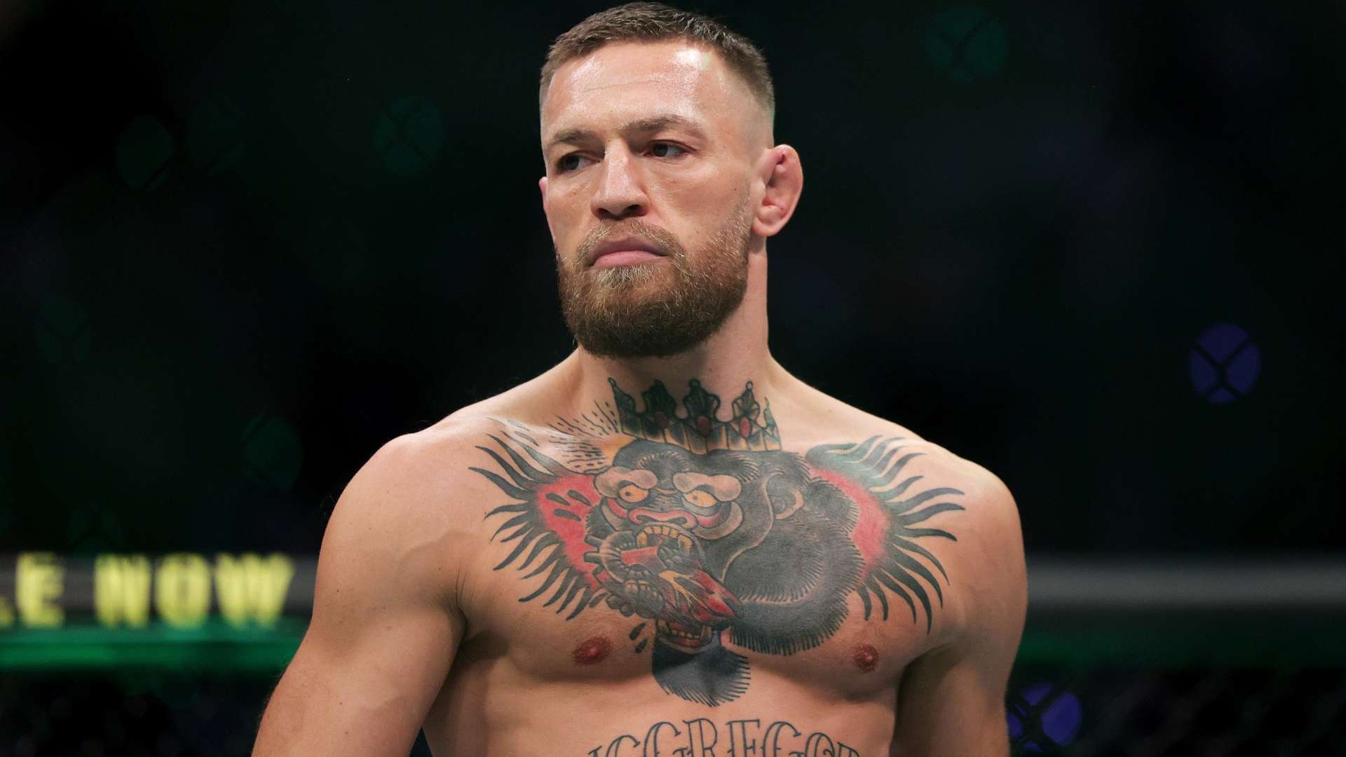 球队自身的 球队自身的