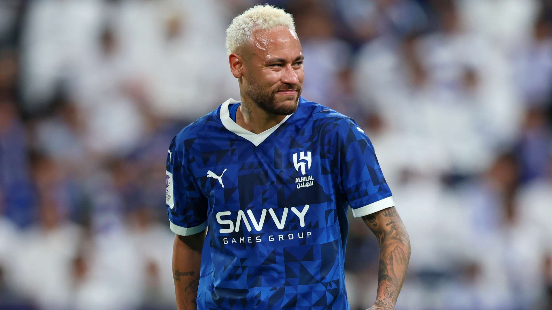 他们的意见 他们的意见